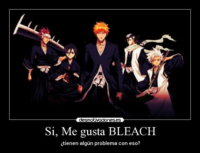 Si, Me gusta BLEACH - ¿tienen algún problema con eso?