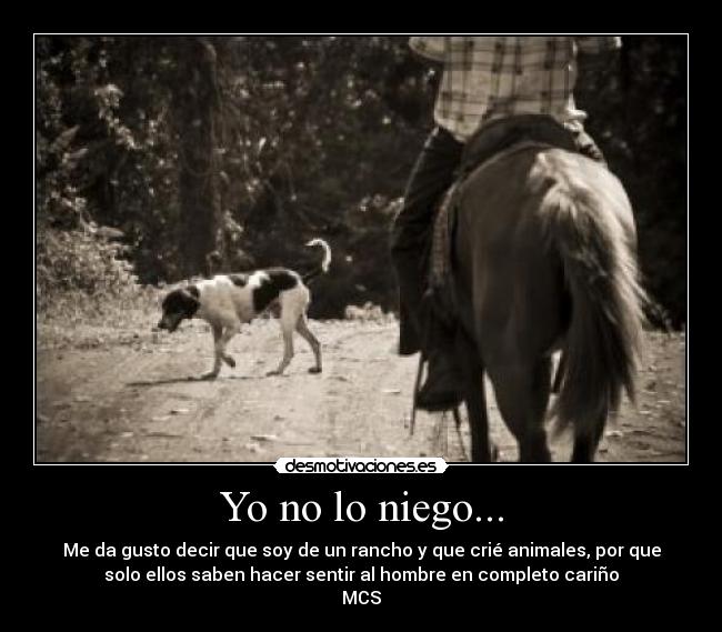 carteles animales desmotivaciones