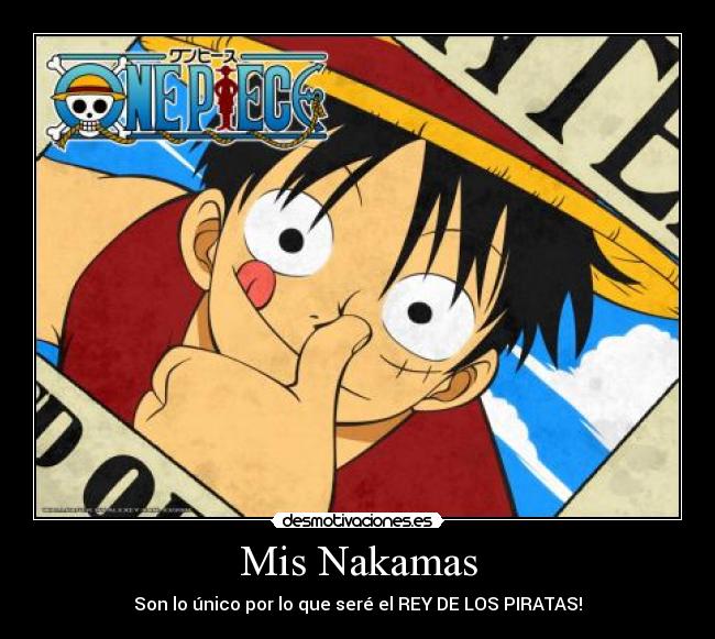 Mis Nakamas - Son lo único por lo que seré el REY DE LOS PIRATAS!