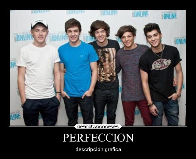 PERFECCION - descripción grafica