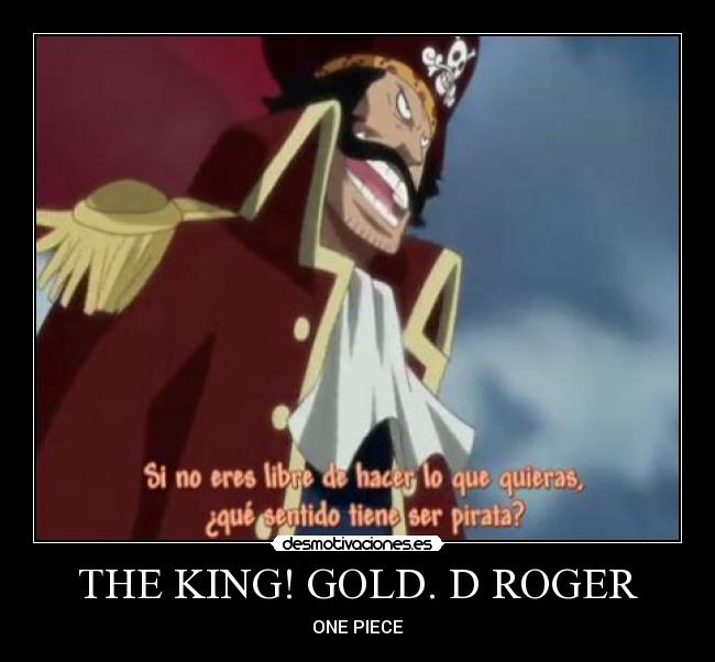 THE KING! GOLD. D ROGER - ONE PIECE