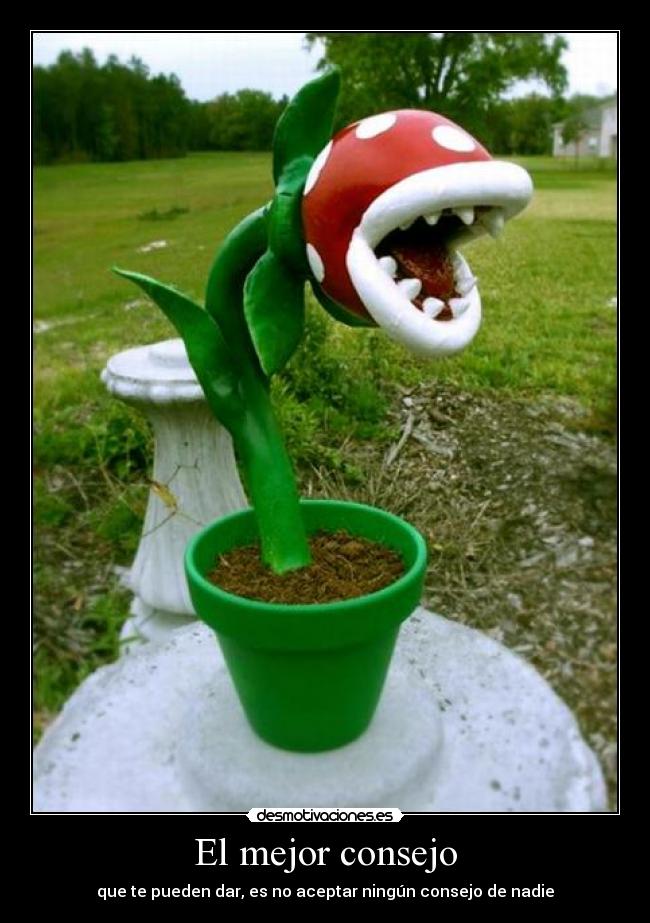 carteles izis desmotivaciones