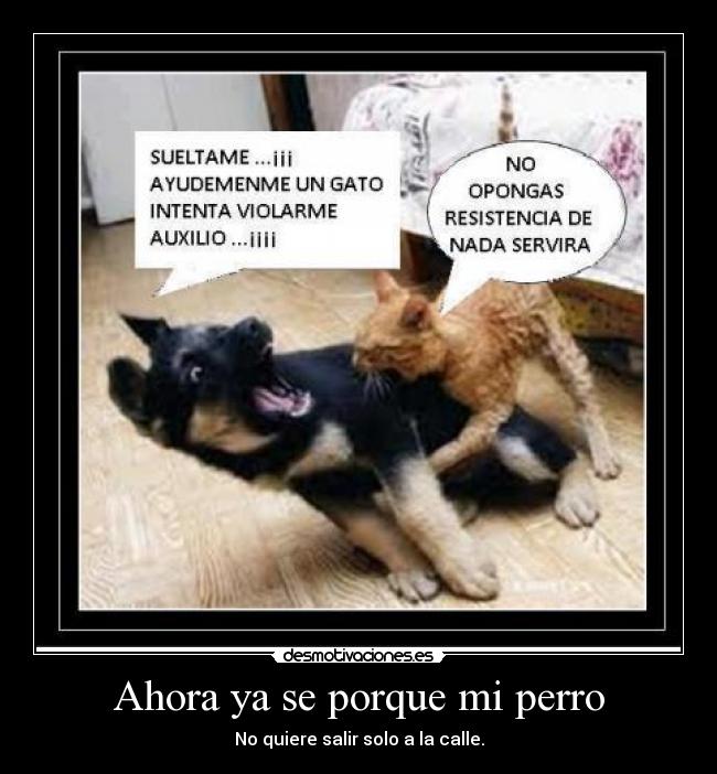 Ahora ya se porque mi perro - No quiere salir solo a la calle.