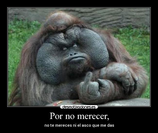 carteles hijoputa desmotivaciones