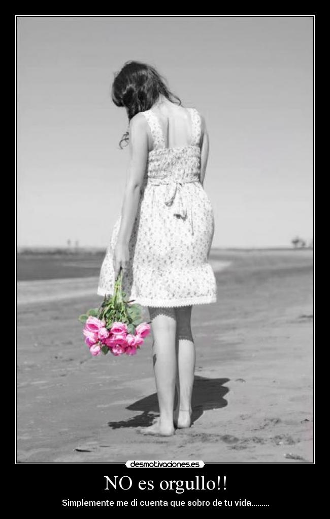 NO es orgullo!! - Simplemente me di cuenta que sobro de tu vida.........