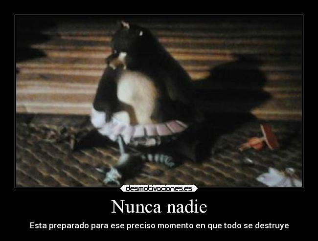 Nunca nadie - Esta preparado para ese preciso momento en que todo se destruye