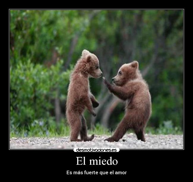 El miedo - Es más fuerte que el amor