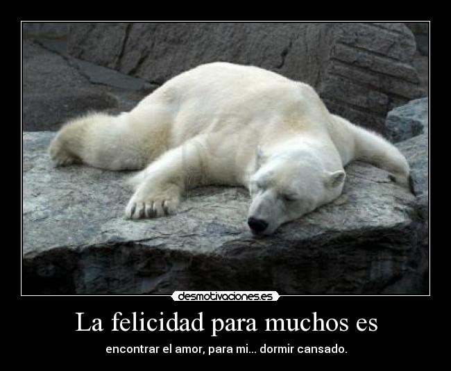 La felicidad para muchos es -