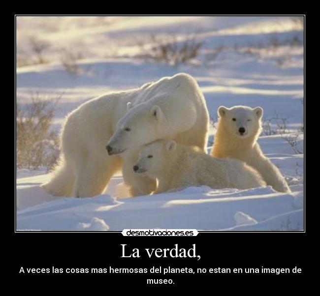 La verdad, - A veces las cosas mas hermosas del planeta, no estan en una imagen de museo.