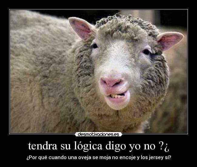 tendra su lógica digo yo no ?¿ - ¿Por qué cuando una oveja se moja no encoje y los jersey sí?