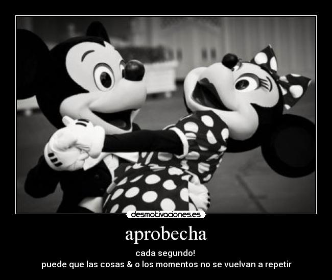 aprobecha - cada segundo!
puede que las cosas & o los momentos no se vuelvan a repetir