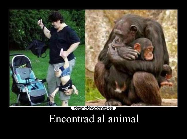 Encontrad al animal - 