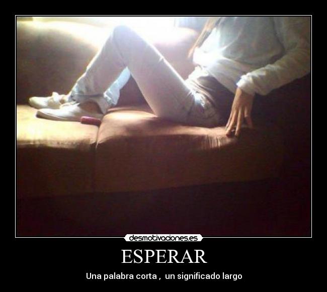 carteles poleta desmotivaciones