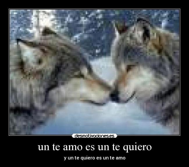 un te amo es un te quiero -