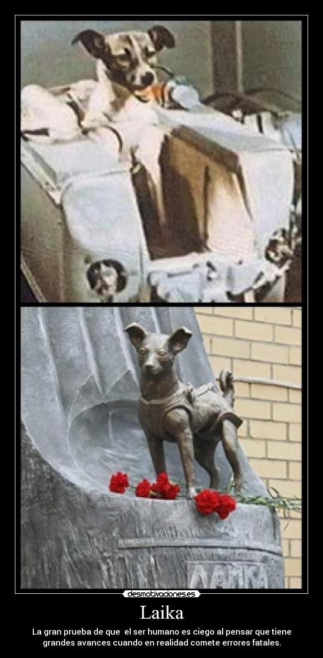Laika -