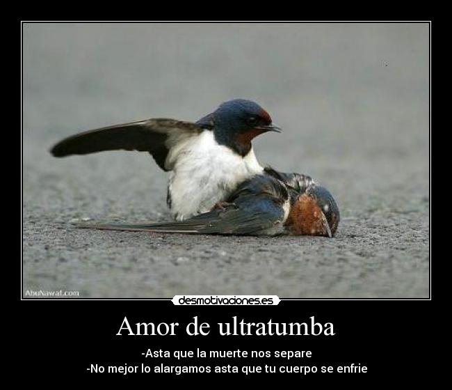 Amor de ultratumba - -Asta que la muerte nos separe
-No mejor lo alargamos asta que tu cuerpo se enfrie