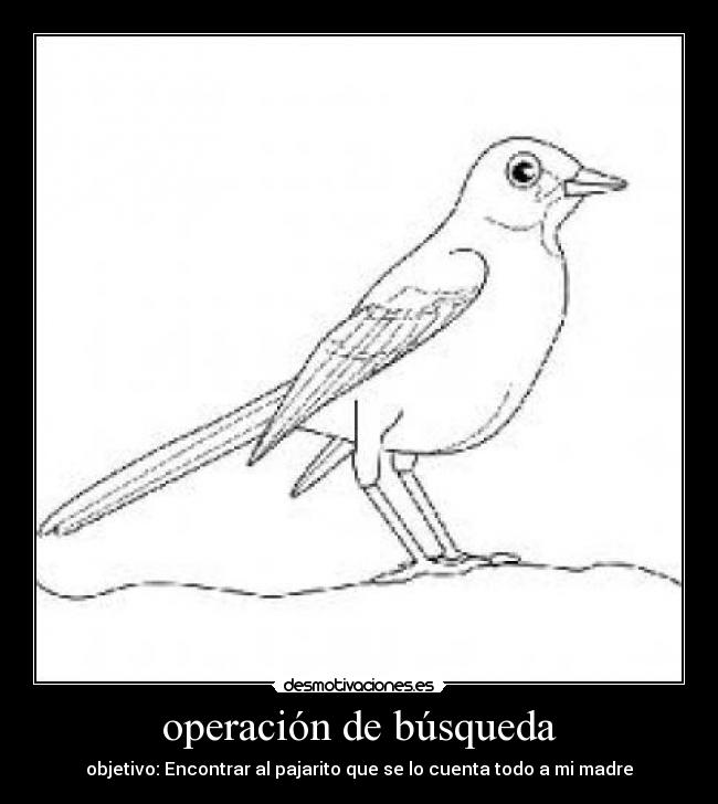 operación de búsqueda - 