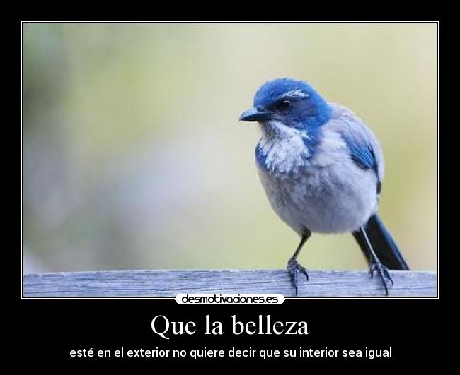 Que la belleza - esté en el exterior no quiere decir que su interior sea igual