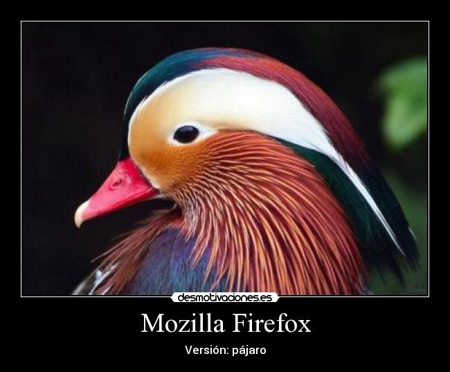 Mozilla Firefox -