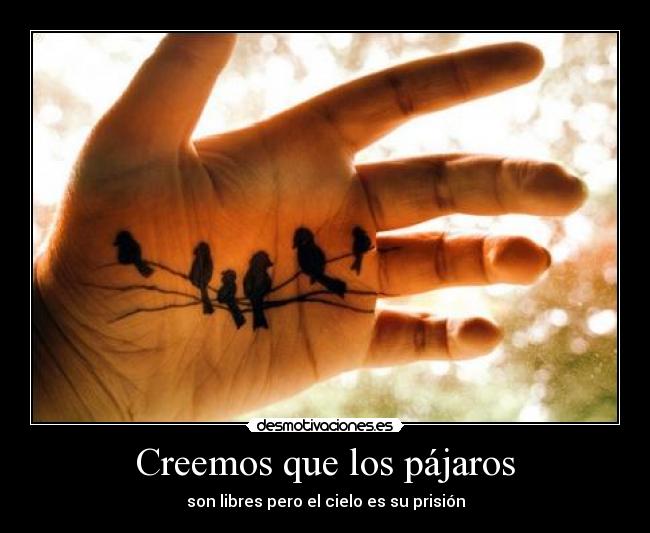 Creemos que los pájaros - son libres pero el cielo es su prisión