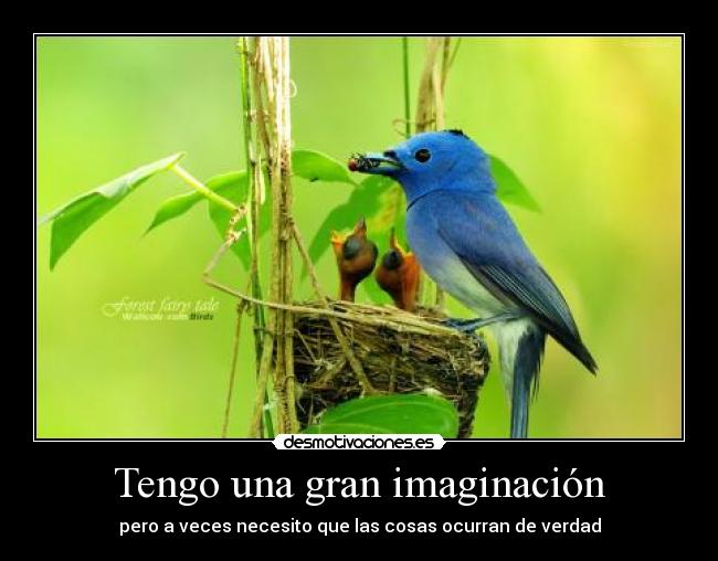 Tengo una gran imaginación - pero a veces necesito que las cosas ocurran de verdad