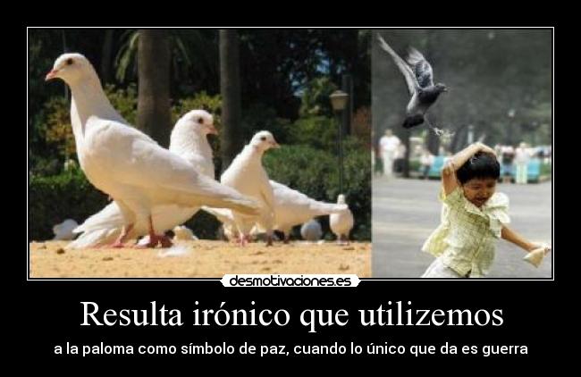 carteles cabeza princicola clanvivoro desmotivaciones