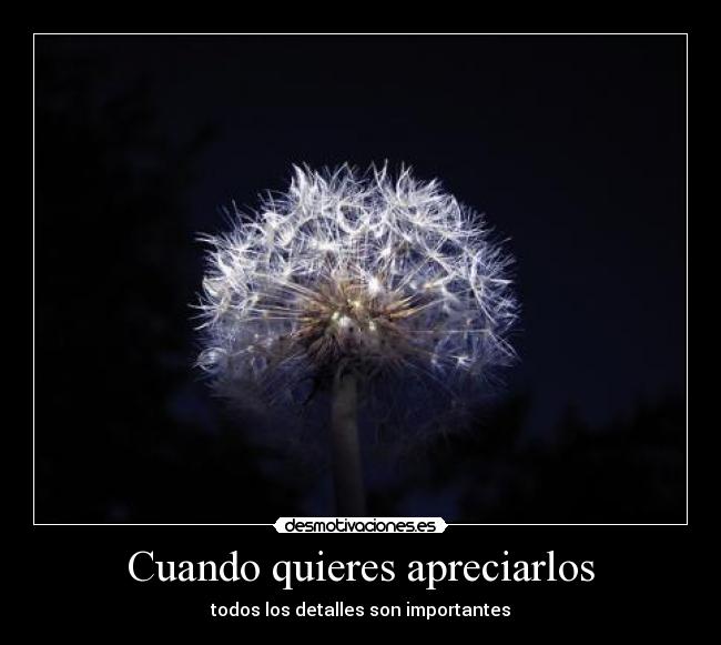 Cuando quieres apreciarlos -