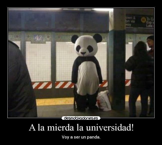 A la mierda la universidad! - Voy a ser un panda.