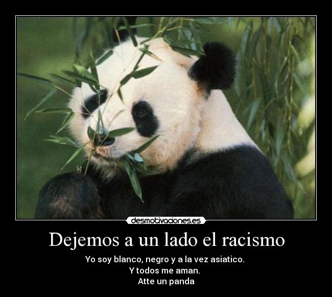 Dejemos a un lado el racismo - Yo soy blanco, negro y a la vez asiatico.
Y todos me aman.
Atte un panda