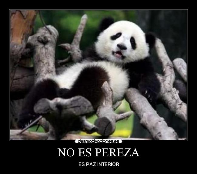 carteles taly desmotivaciones