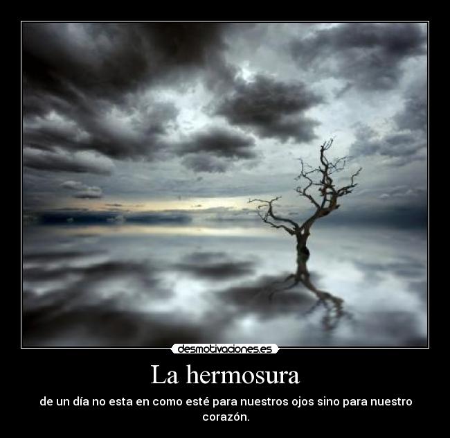 La hermosura - de un día no esta en como esté para nuestros ojos sino para nuestro corazón.