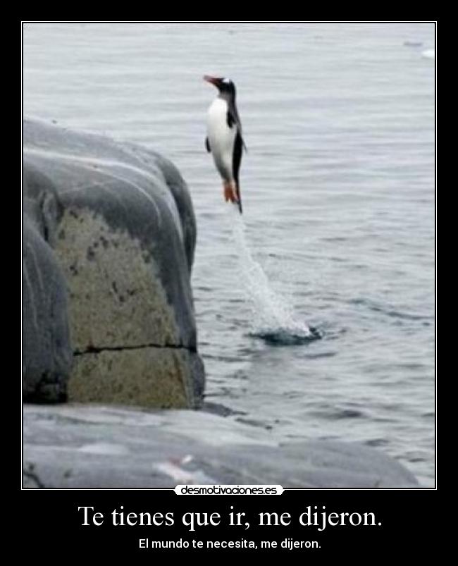 Te tienes que ir, me dijeron. - 