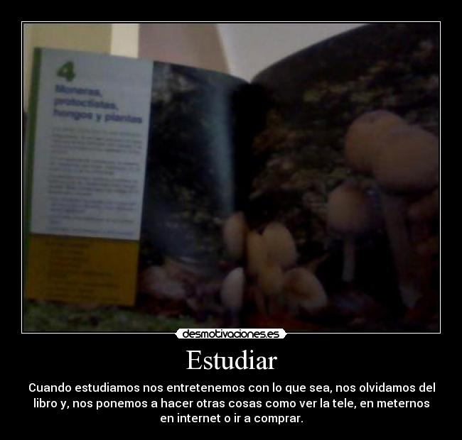 carteles pilkar desmotivaciones