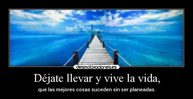 carteles vida paradais desmotivaciones