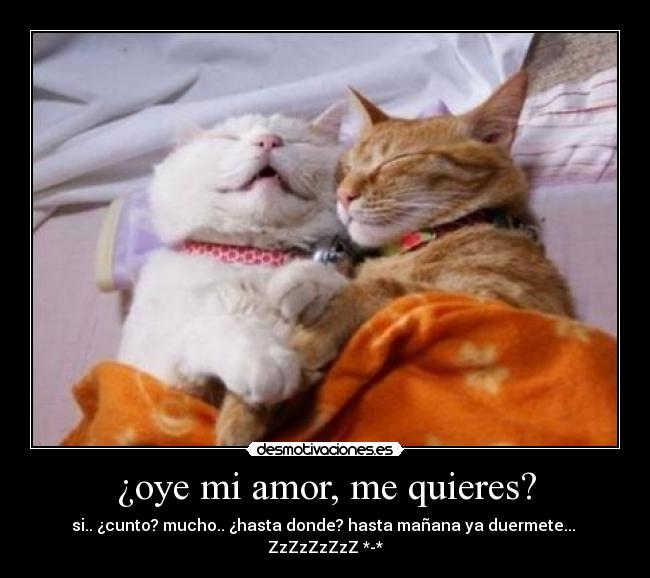 ¿oye mi amor, me quieres? -