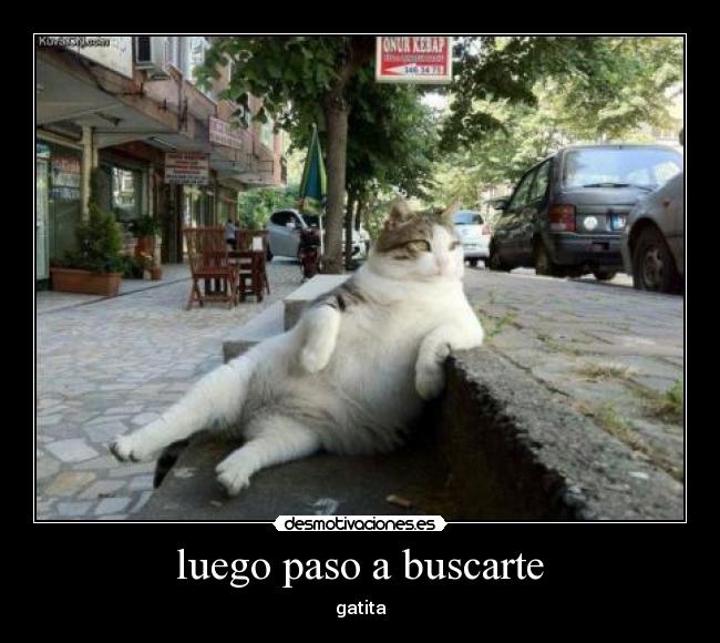 luego paso a buscarte -