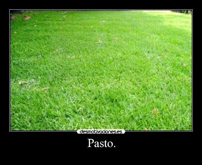 Pasto. -