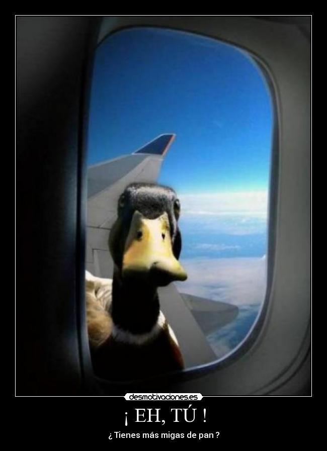 carteles jajaja haciendo imposible para conseguir que sea desmotivaciones