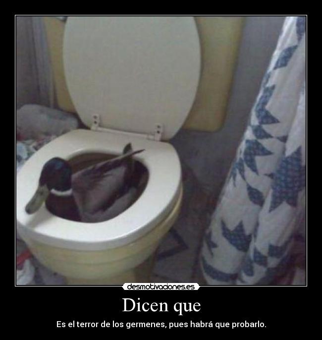 Dicen que - 