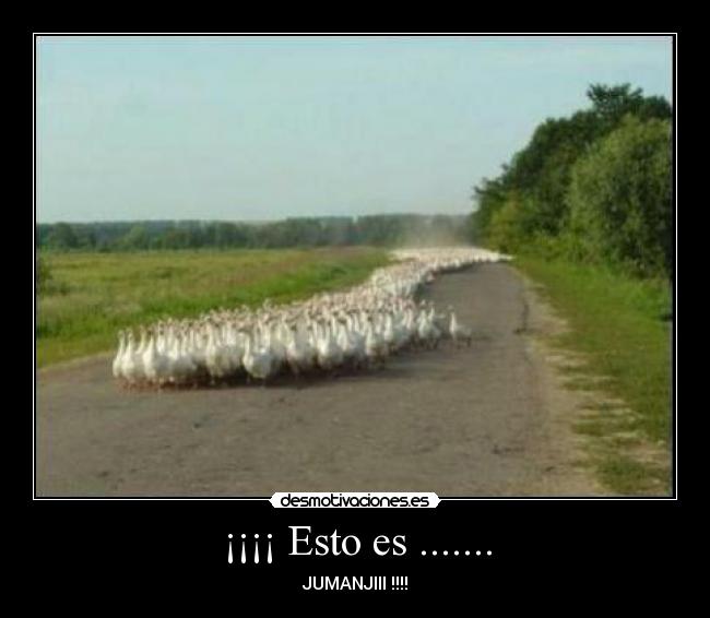 ¡¡¡¡ Esto es ....... - 