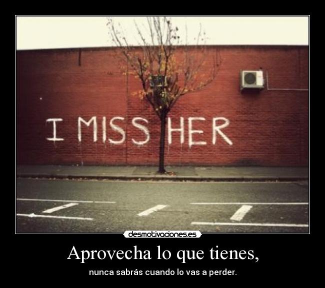 carteles andry desmopornositas duele muneca desmotivaciones