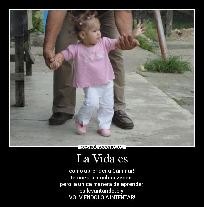La Vida es -
