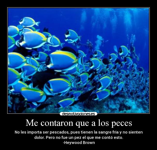 Me contaron que a los peces -