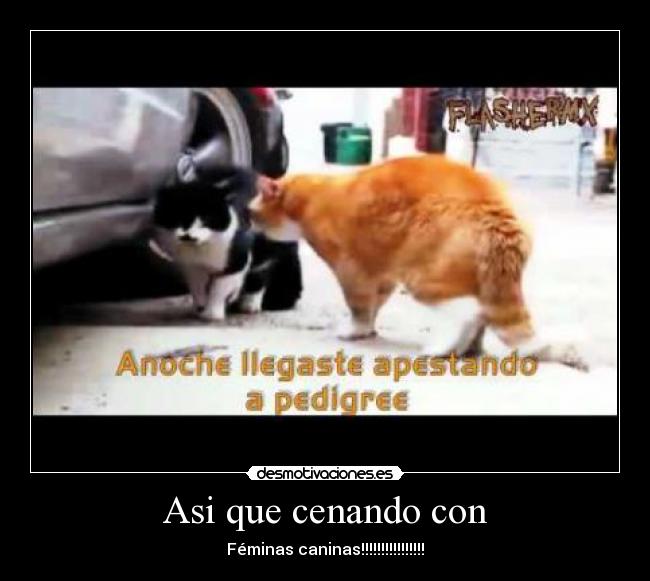 Asi que cenando con - 