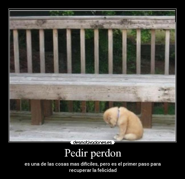 Pedir perdon -