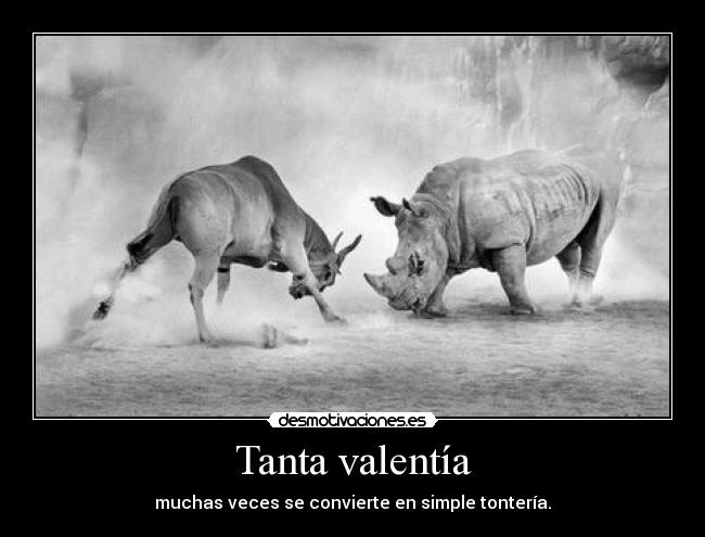 Tanta valentía - muchas veces se convierte en simple tontería.