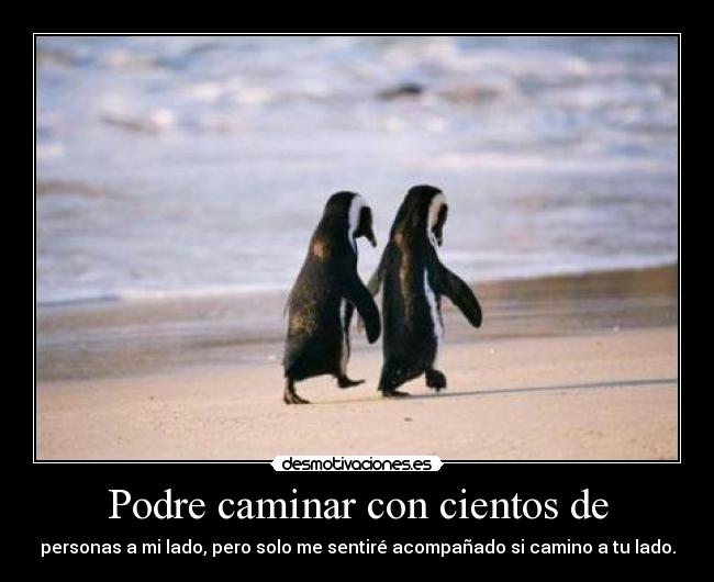 Podre caminar con cientos de -