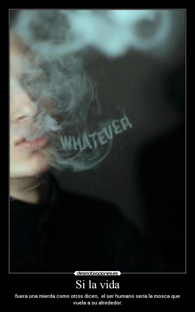 Si la vida - 