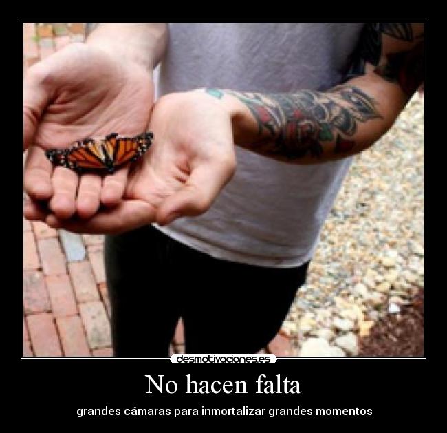 No hacen falta - 
