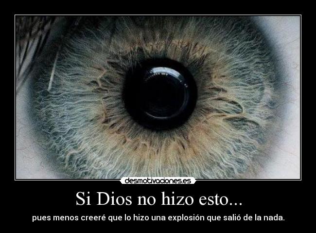 Si Dios no hizo esto... -